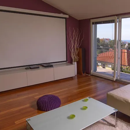 Apartment Zan 219